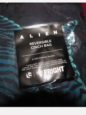 Alien Reversible Cinch Bag - Black & Teal